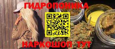 дмт Гусев