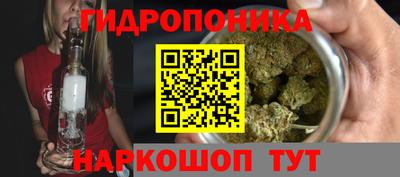 дмт Гусев