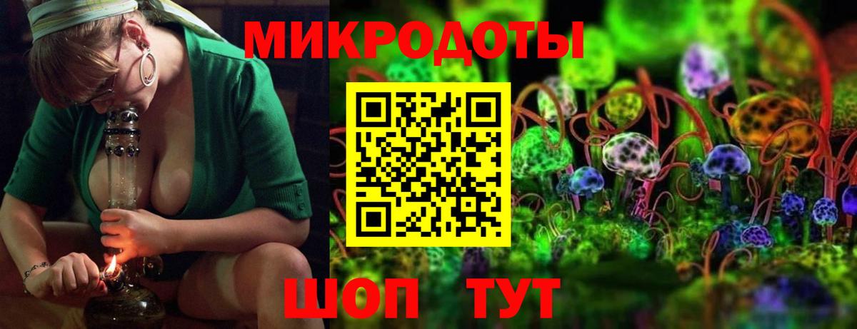 Галлюциногенные грибы Psilocybine cubensis Омск