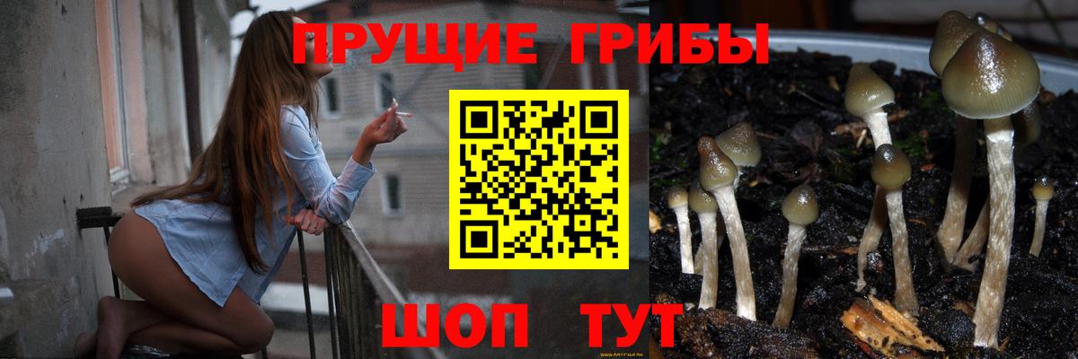 Омск  Псилоцибиновые грибы Magic Shrooms  Галлюциногенные грибы Psilocybe  как найти закладки  Вход с VPN 
